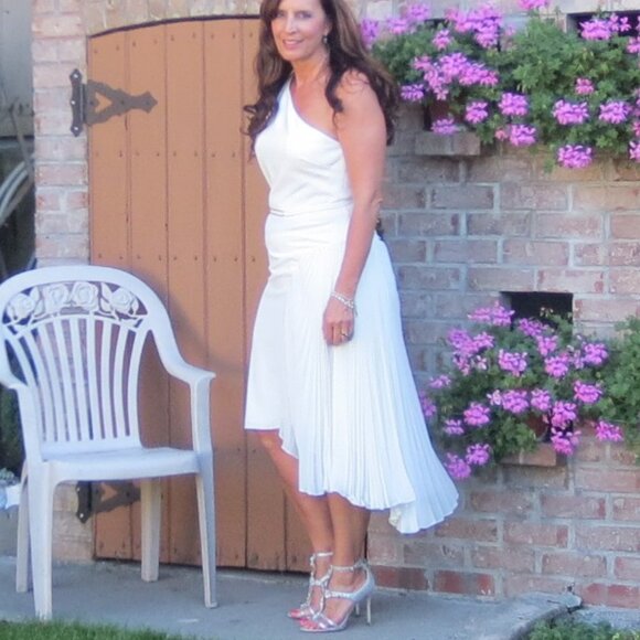 Halston Heritage Dress - Picture 2 of 6